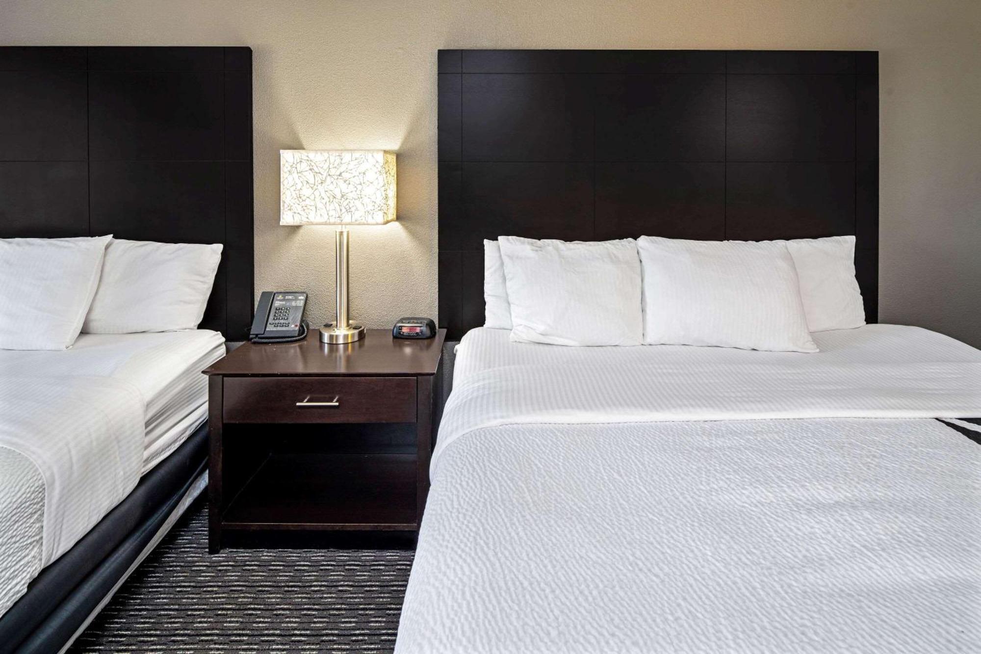 2 Full Beds, Suite,1434765076:JPEG